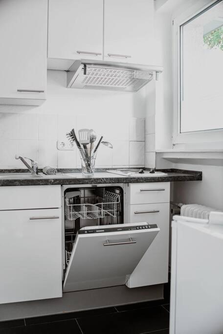 Wiesbaden - Apartment Im Nerotal Bagian luar foto